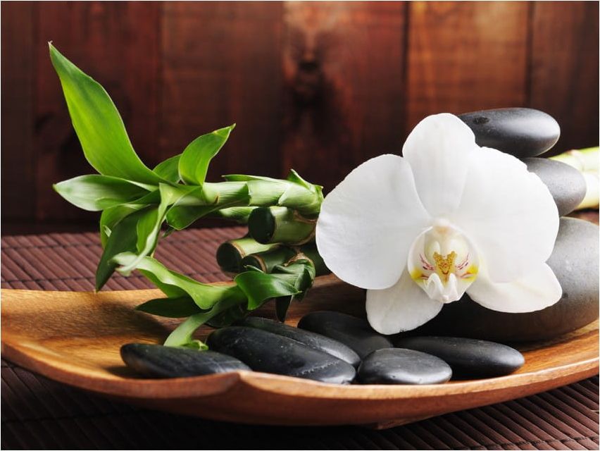 DecoNest Fototapeta - świątynia zen - 250X193