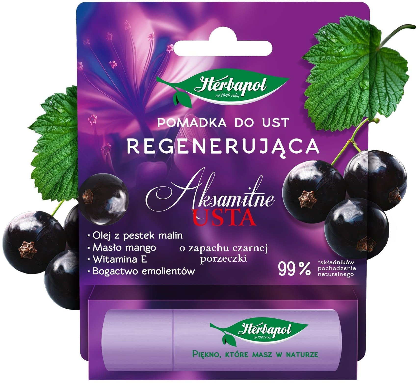 HERBAPOL Aksamitne Usta Pomadka regenerująca do ust - Czarna Porzeczka 4.9 g