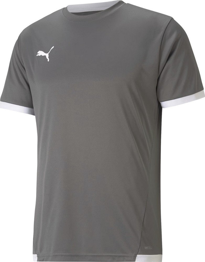 Koszulka męska Puma teamLIGA Jersey szara 704917 13 S