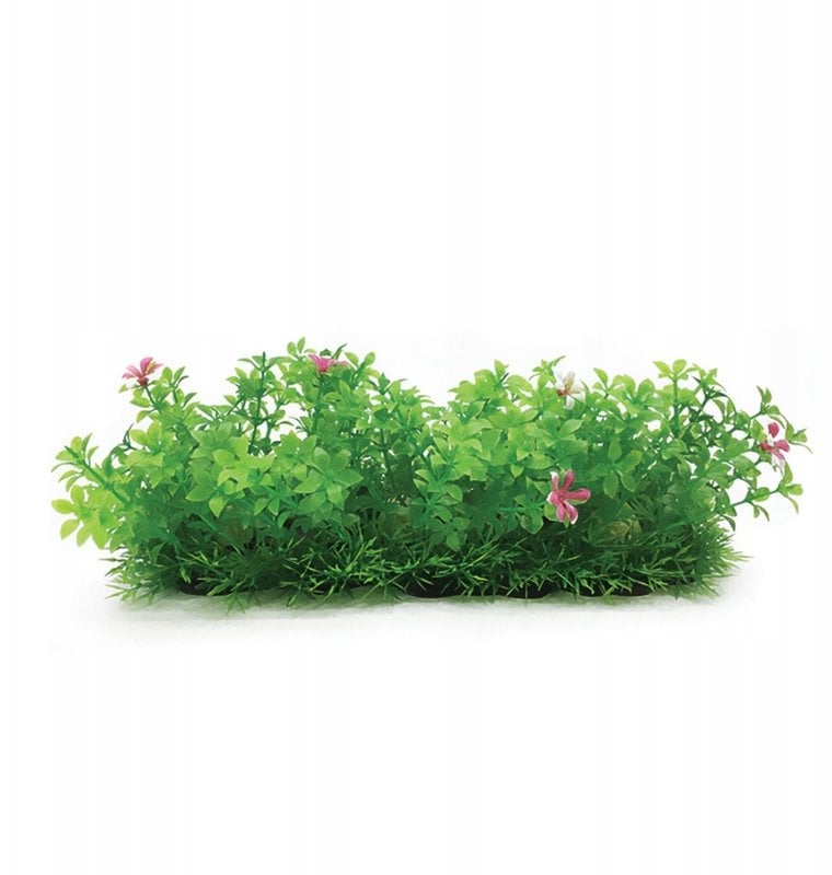 Aqua Natura, roślina, do dekoracji akwarium, zieona, plastikowa, 10 cm , doniczka korytkowa, pojedyncze różowe kwiaty