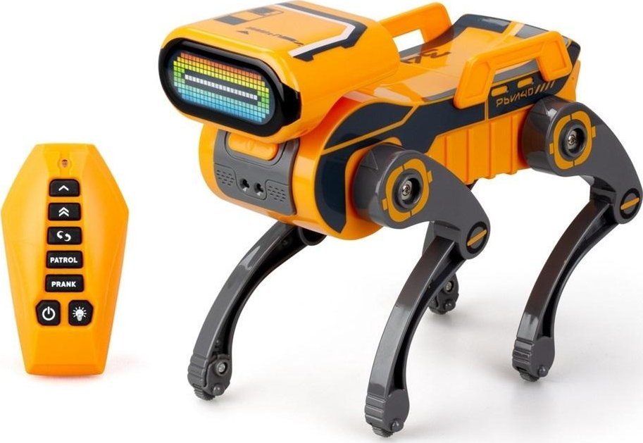 Robo Express pomarańczowy