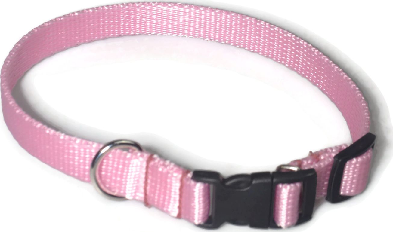 Alizoo Obroża dla średniego psa 16mm/24-42cm - ALIZOO