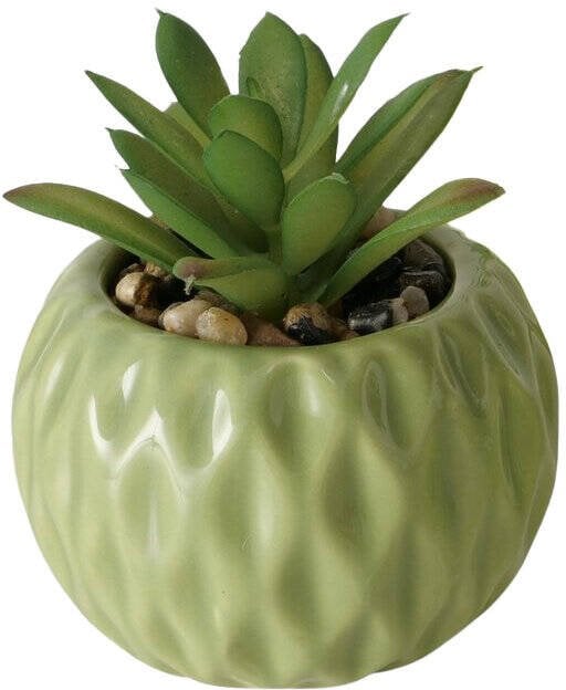 Sztuczny sukulent w doniczce MALUHA, 10,5 cm
