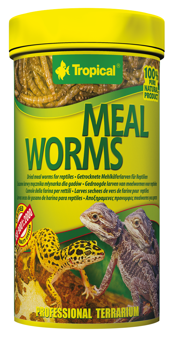 Tropical MEAL WORMS 100ML (29559)