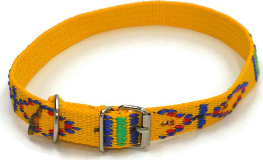 Alizoo Obroża z metalową klamerką 20mm dla średnich psów - ALIZOO