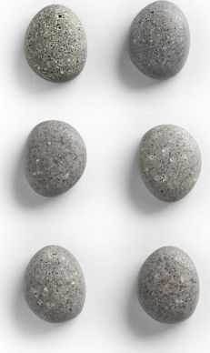 Zeller Zestaw magnetyczny Stone