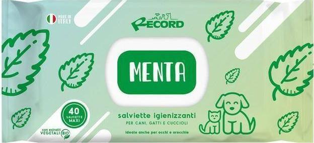 Record Italy RECORD CHUSTECZKI NEW MIĘTA XL 40szt ANTYBAKTERYJNE