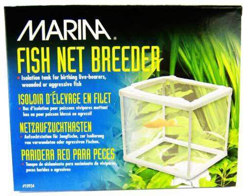 Hagen KOTNIK DLA RYB /A-0934