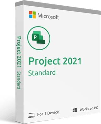 Program Microsoft Project Standard 2021 (076-05905)