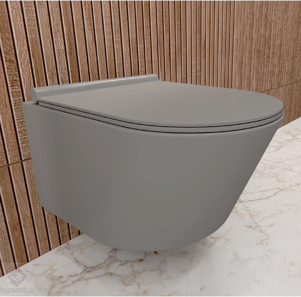CE-MW-004-77-50 / AQUAFORM / ALICANTE GRIS RIMLESS / MISKA WISZĄCA WC Z DESKĄ SZARY MAT /