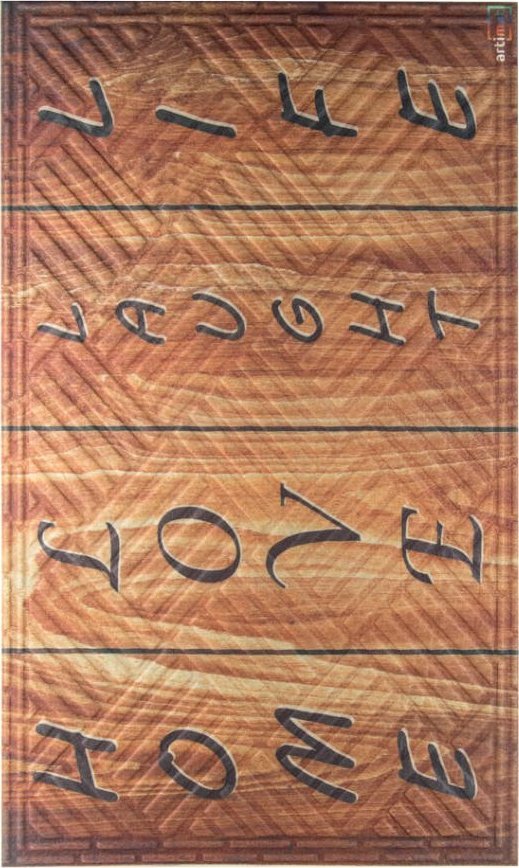 Direct Home and Garden Wycieraczka z nadrukiem drewna