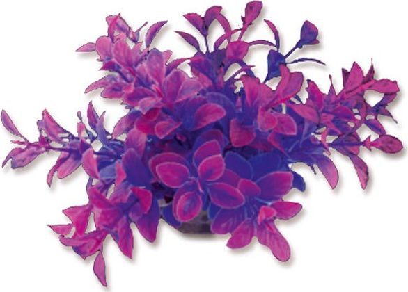 Happet HAPPET ROŚLINA FOLIA 10CM / 1F15