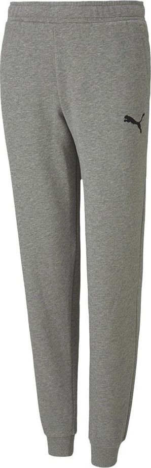 Puma Spodnie dla dzieci Puma teamGOAL 23 Casuals Pants Jr szare 656713 33 152