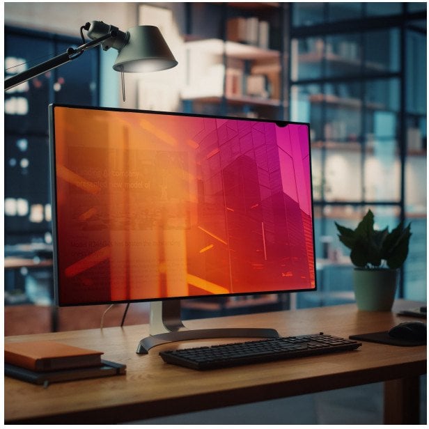 StarTech.com 23.8-inch 16:9 Gold Monitor Privacy Screen, Reversible Filter w/Enhanced Privacy, Blue Light Shield, Computer Security Filter, Removable