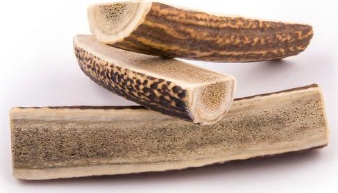 4DOGS GRYZAK L (EASY)