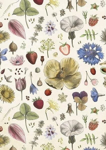 Skona Ting Karnet ST446 B6 + koperta Kwiaty lata