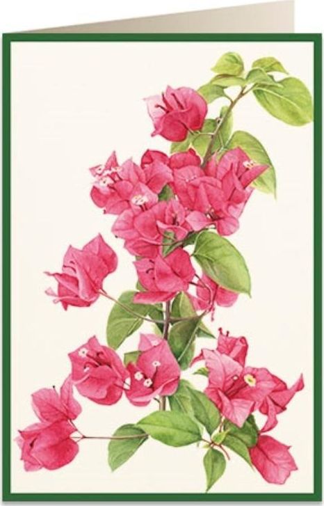 Tassotti Karnet B6 + koperta 5933 Bugenwilla