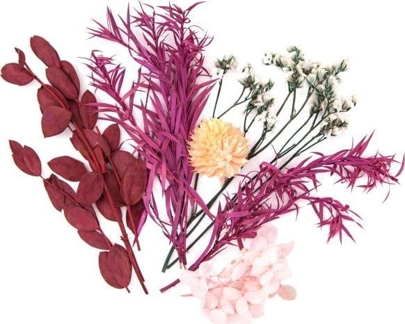 DP Craft SUSZONE KWIATY DEKORACYJNE, BORDO, RÓŻ