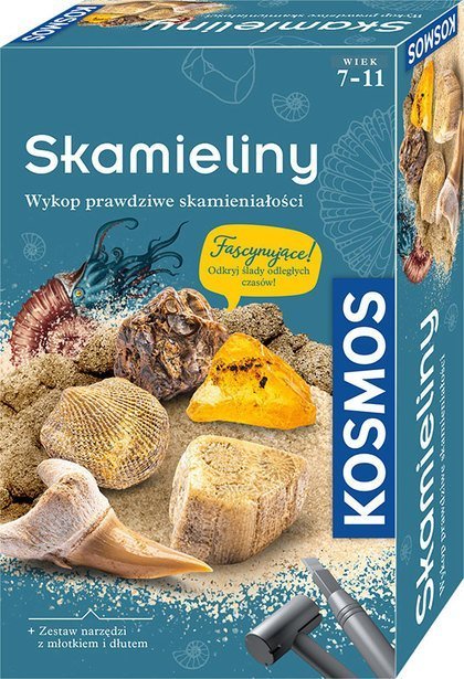 Piatnik Zestaw Archeologiczny Skamieliny