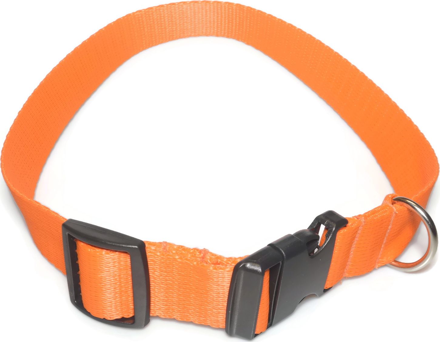 Alizoo Obroża dla dużego psa 25mm/34-55cm - ALIZOO