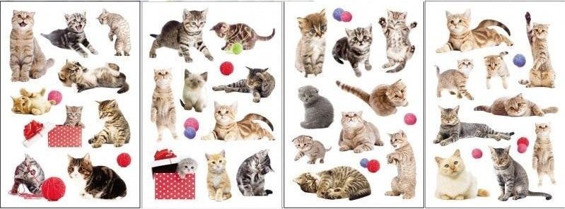 Naklejki 3D koty MIX EDUKAMP