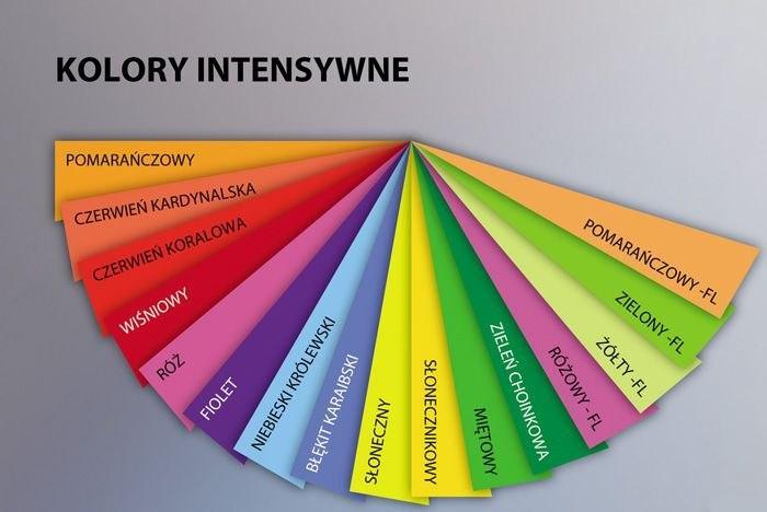 Emerson Papier xero A4 80g.róż fluo TROPHEE 2973 500ark