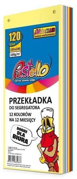 Przekładka do segregatora 1/3 A4 120K 12 kolorów