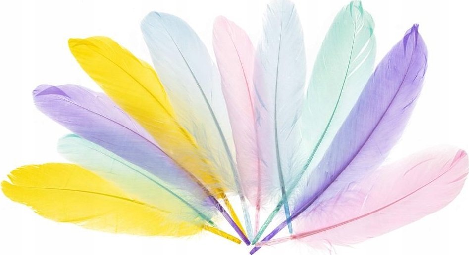 FANDY Piórka gęsie 15-20cm pastelowe