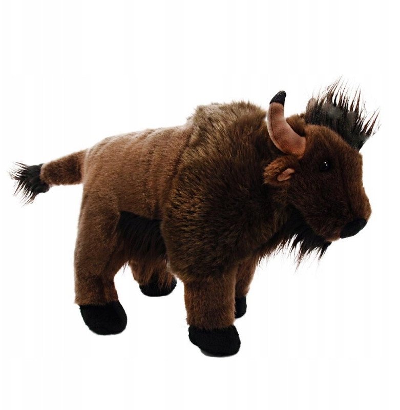 Żubr polski 30cm 13941 21601