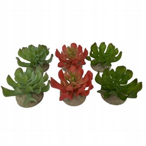 Sukulent Echeveria 1, ozdoba do terrarium, mix kolor�w, 8,5x8x5,8 cm