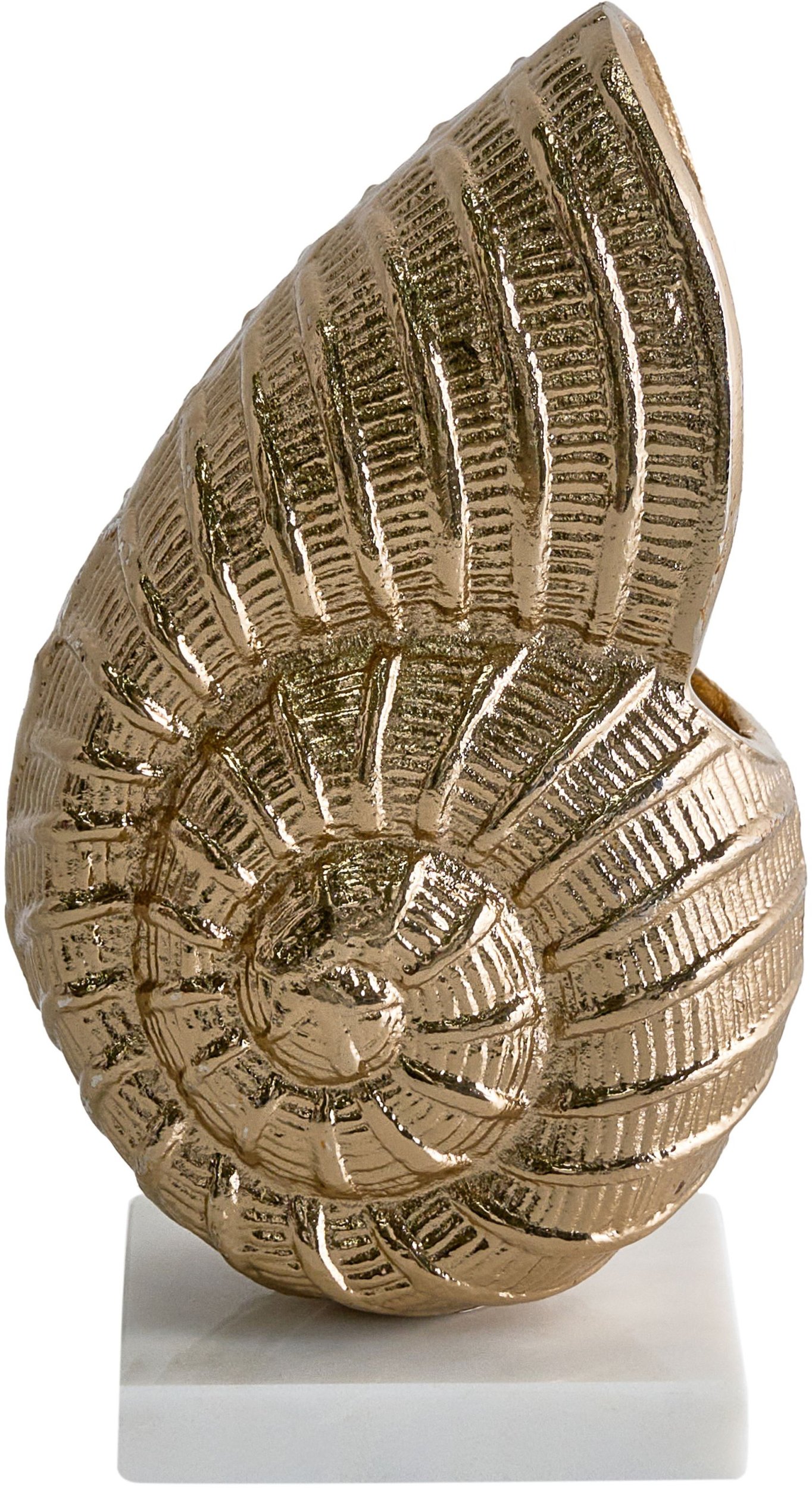 Figurka dekoracyjna Muszla TULJE Metal Złoty