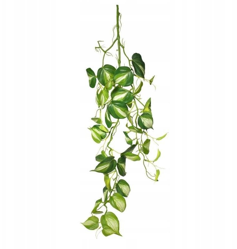 Exo Terra Dekoracja do terrarium wisząca roślina średnia 23*15*94cm