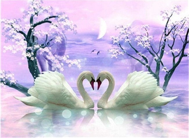 Norimpex Diamentowa mozaika - Łabędzia miłość