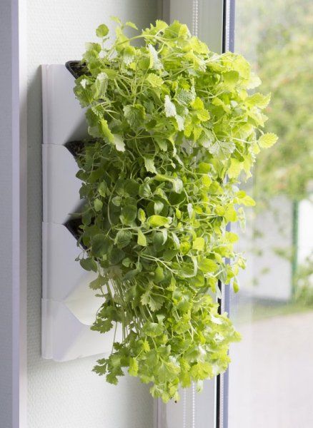 Aquael AQUAEL MODUŁ ŚCIENNY VERSA GARDEN HERBS 113282