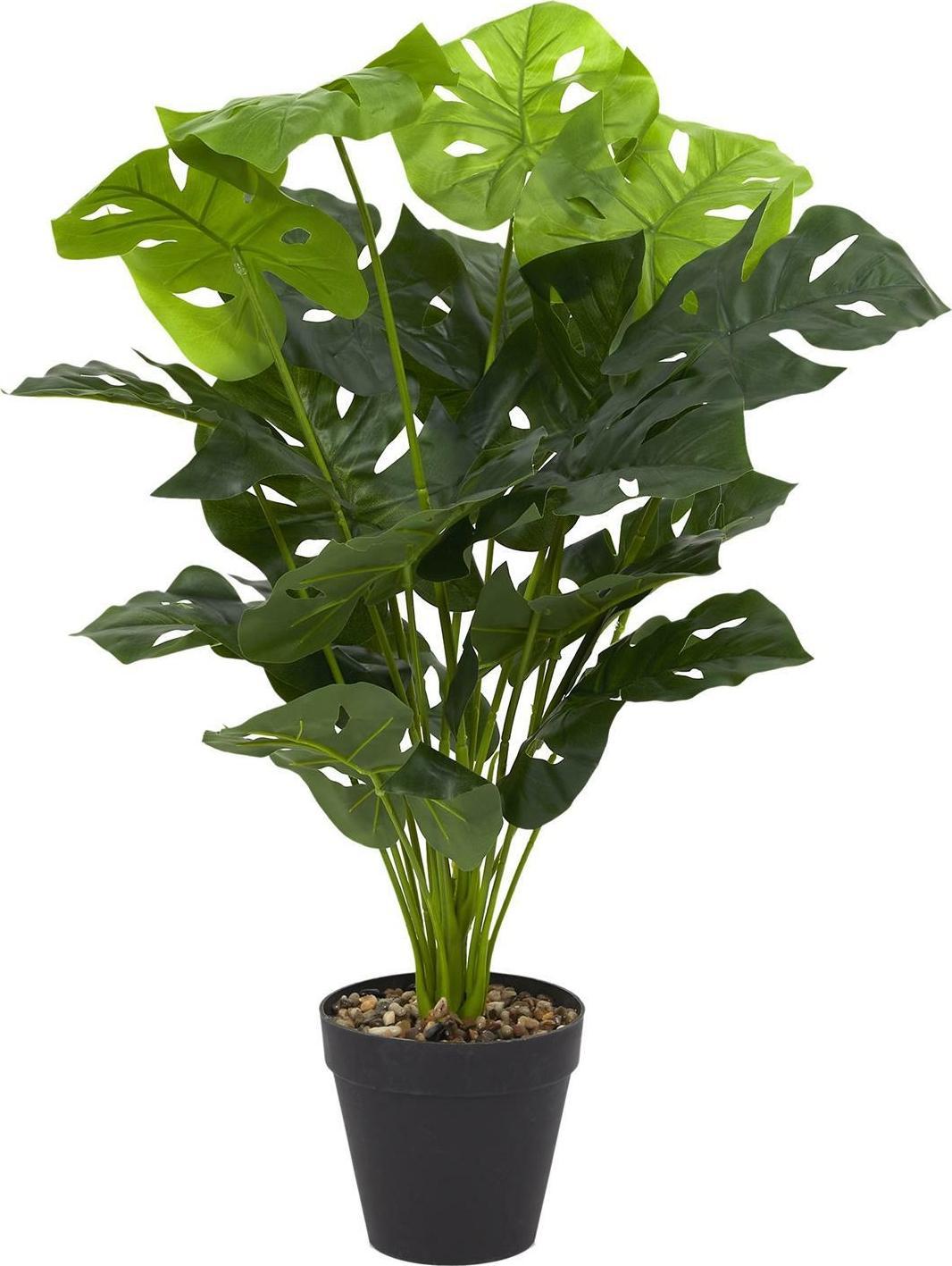 Intesi Kwiat sztuczna Monstera 80 cm
