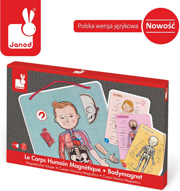 Janod Układanka magnetyczna Ciało człowieka (J05491)