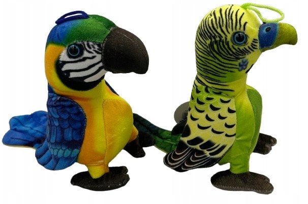 Papuga Kolorowa 42585