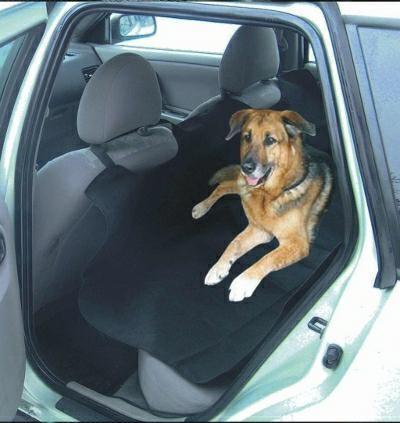 Carcommerce POKROWIEC NA PUPILA