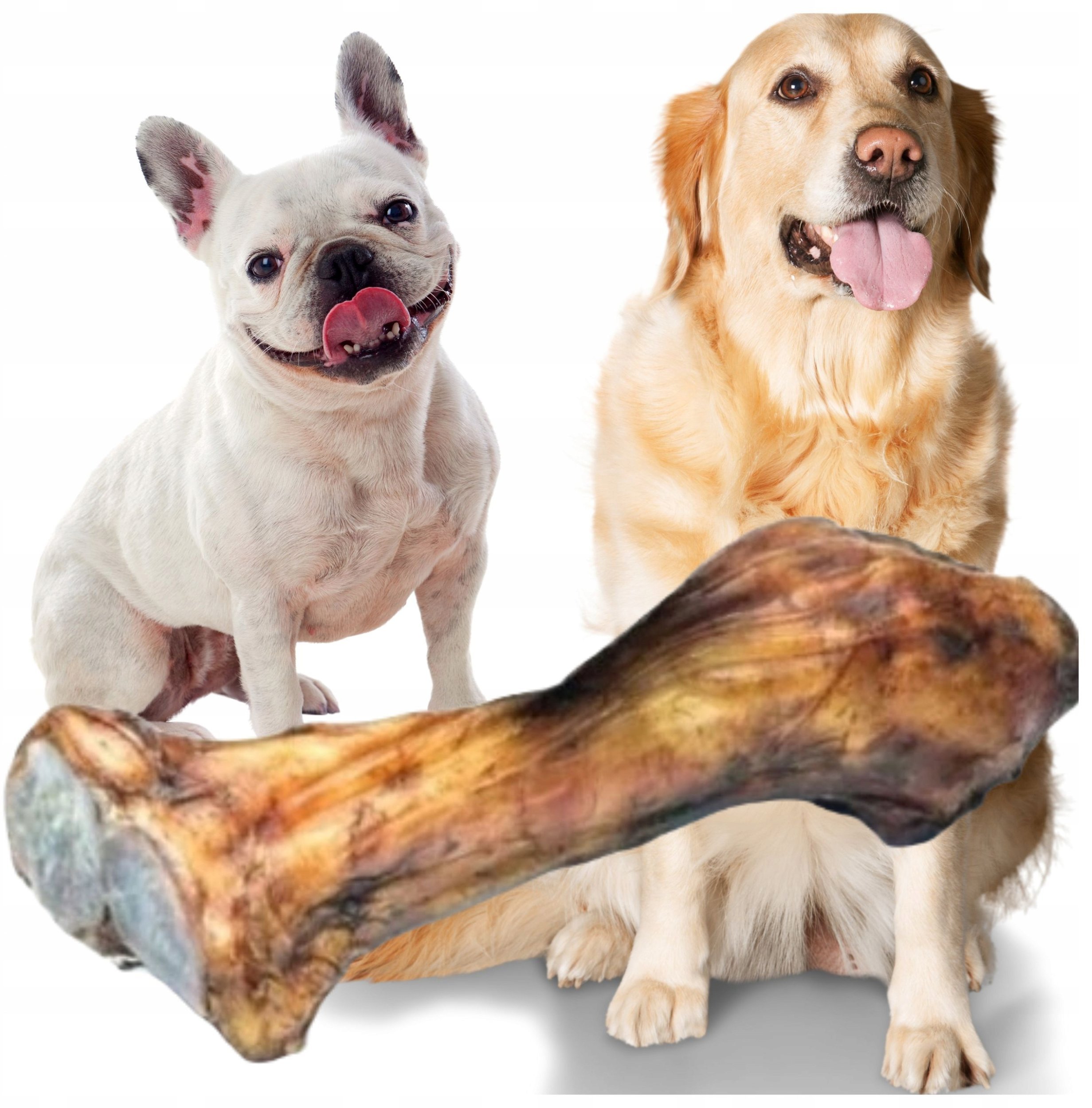 BULT Kość wołowa przednia dla psa 1szt