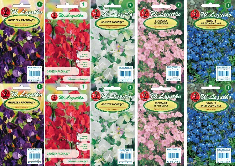Legutko Zestaw nasion Groszek pachnący Gipsówka Lobelia