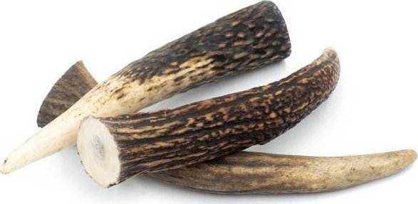 4DOGS Jeleniówki Gryzak Dla Psa Z Poroża L 15cm