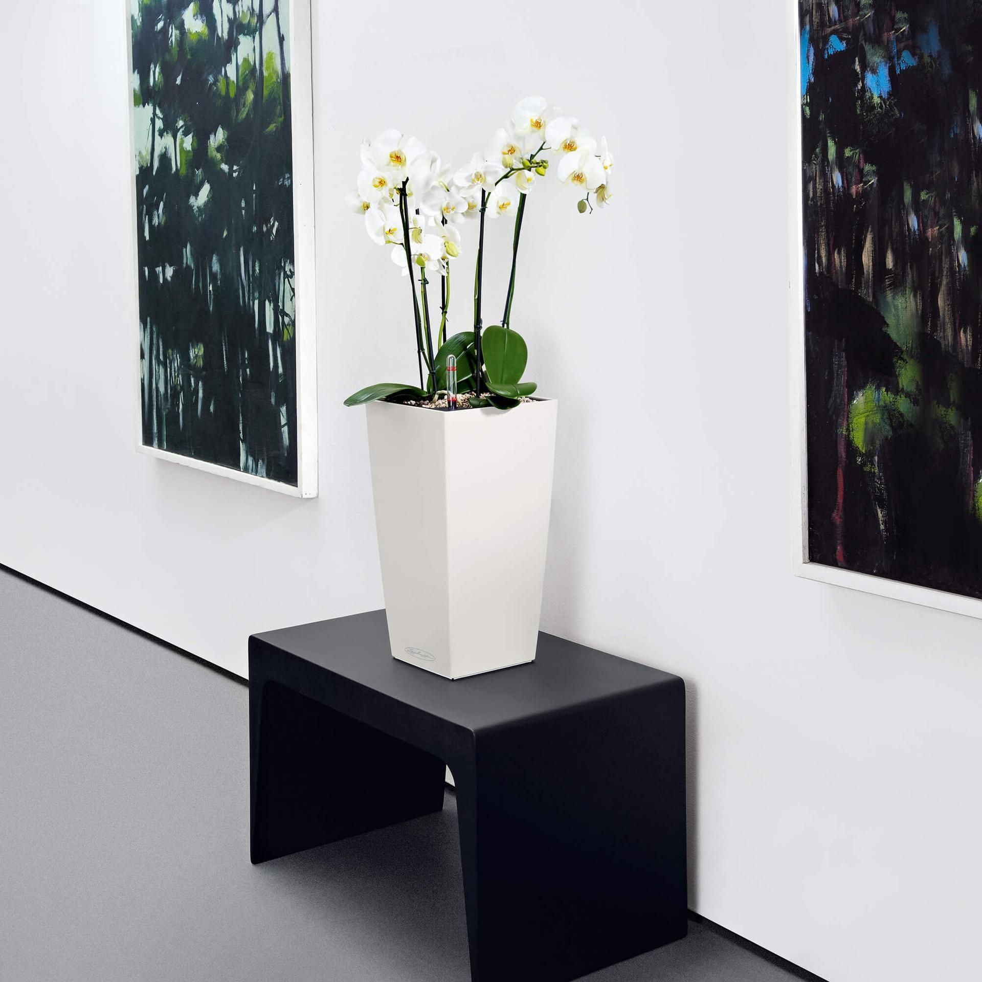 Lechuza DONICA LECHUZA CUBICO COLOR 22 SZARY ŁUPEK