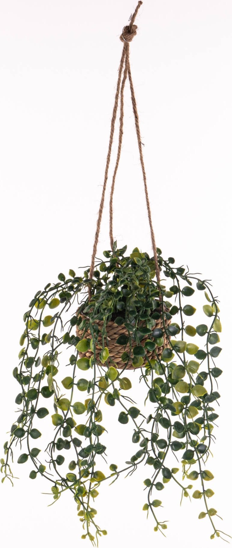 Roślina wisząca PATRI Ø 14 cm z dopasowaną donicą z włókien naturalnych