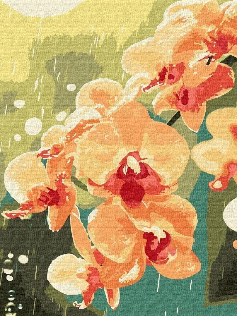 Malowanie po numerach - Orchidea w kroplach 30x40