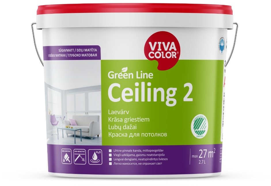 VivaColor PAINT GREEN LINE CEILING 2 A 2,7L