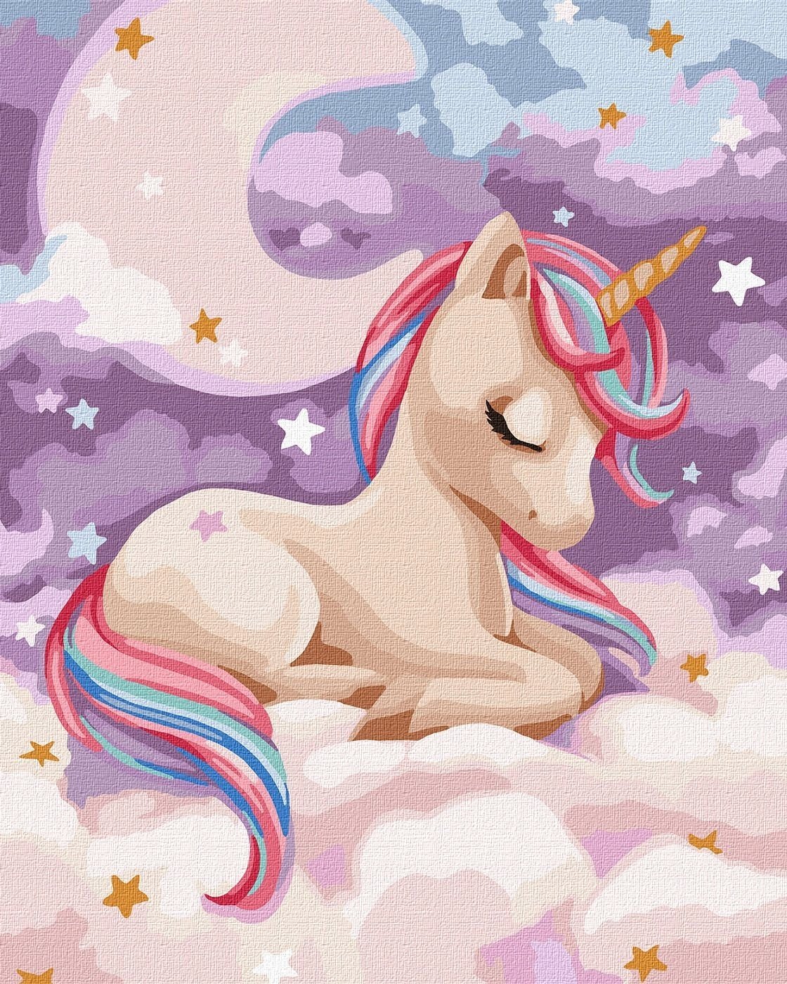 Norimpex Malowanie po numerach - Magiczny sen 40x50cm