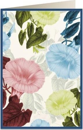 Tassotti Karnet B6 + koperta 5964 Powój