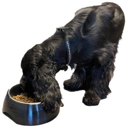 Bestron Paw Love Melamine bowl with steel bowl 700ml Black