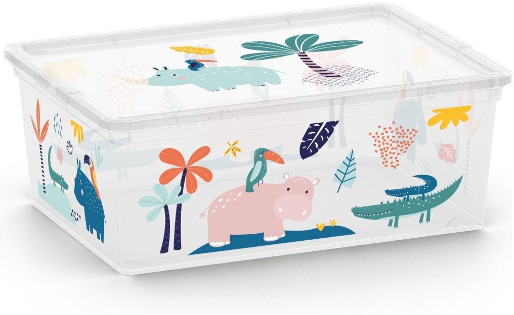 BOXSTORAGE WITH LID C BOX11L