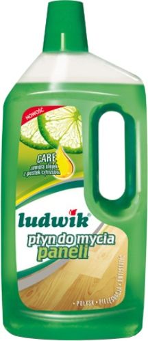 Ludwik Środek do czyszczenia Ludwik
